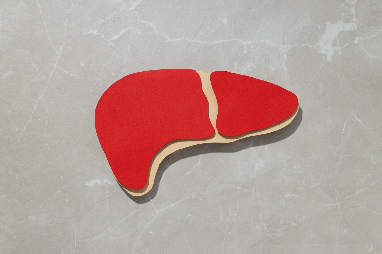 Como diagnosticar a gordura no figado