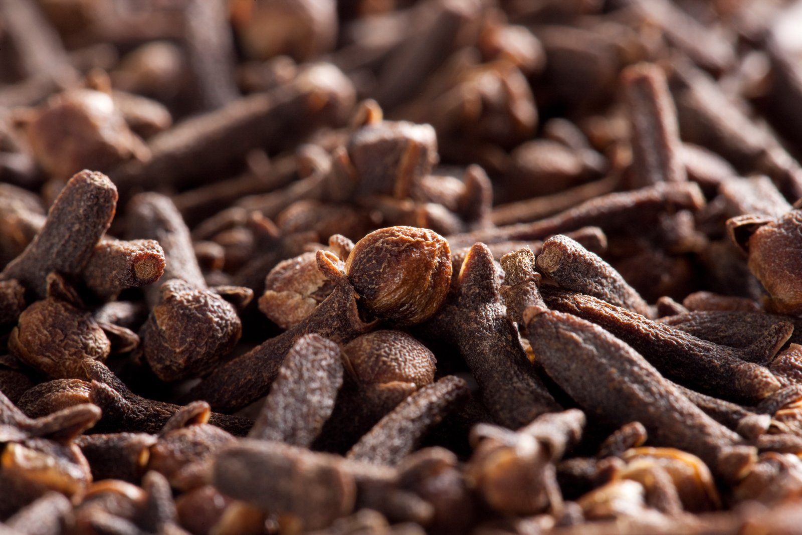 benefícios do cravo-da-índia