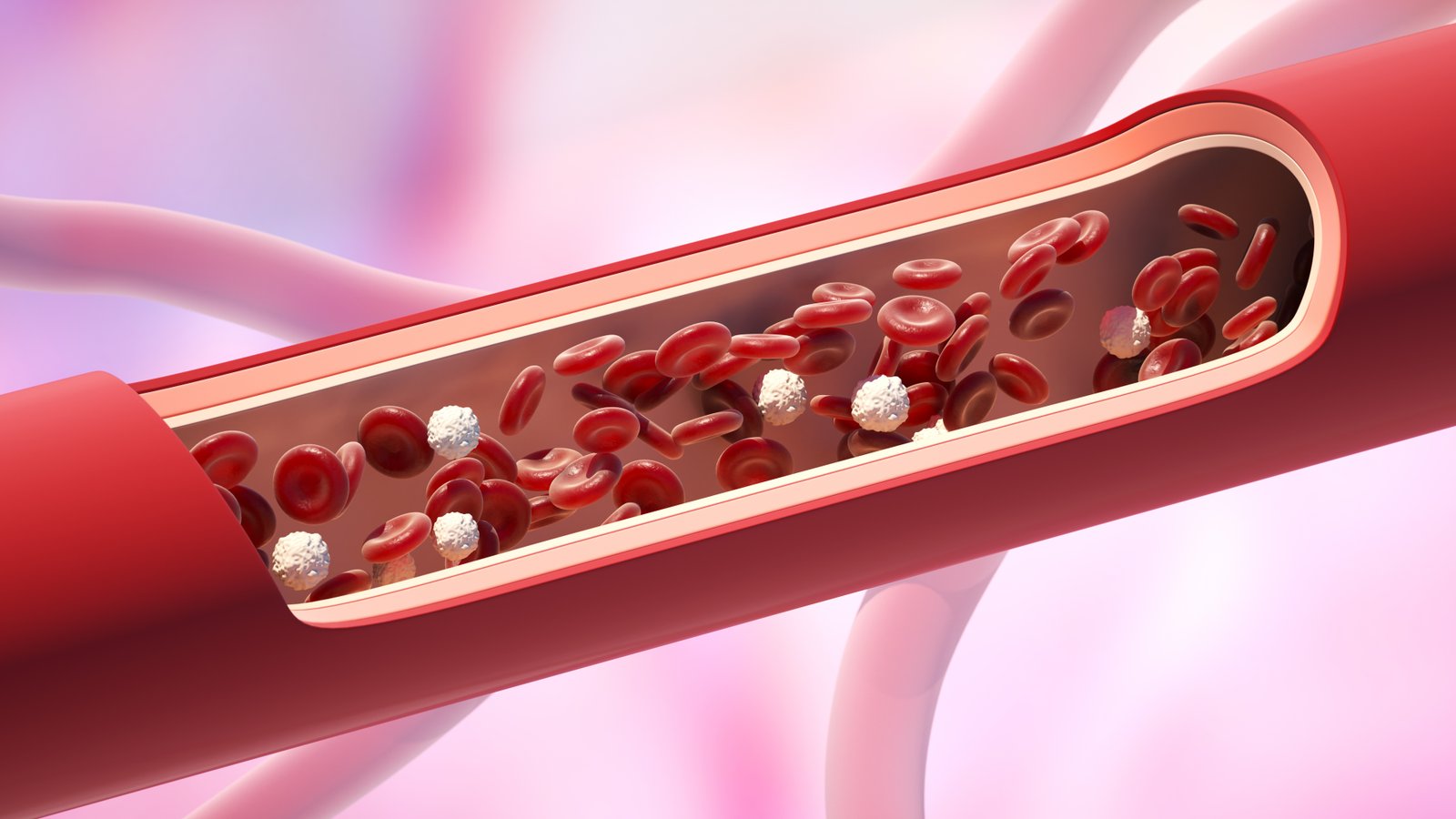 ldl e hdl colesterol