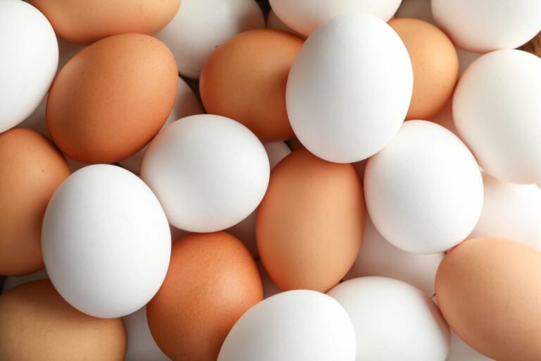 comer ovo todos os dias faz mal e sua relação com doenças cardiovasculares