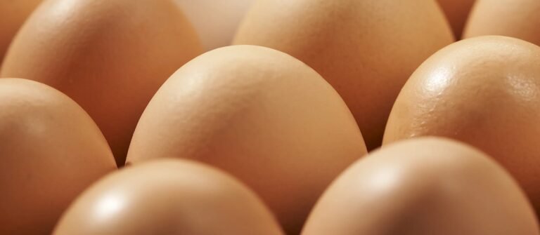 quantos ovos comer por dia